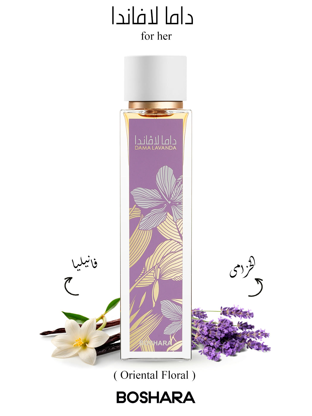داما لافاندا – DAMA LAVANDA