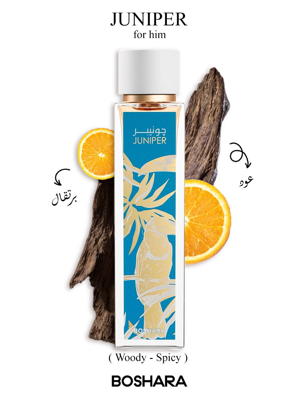 جونيبر – JUNIPER