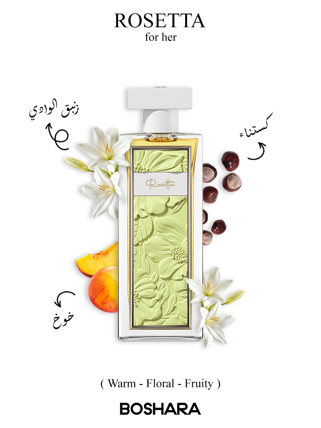 روزيتا – Rosetta